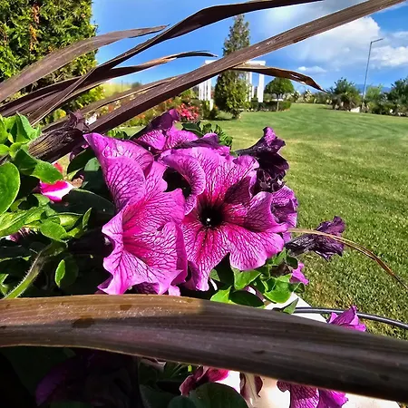 Diamond Sarafovo By Kp - Luxury Collection, 6 *