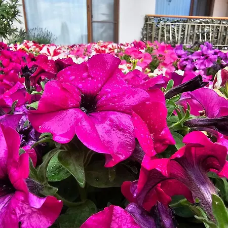 Diamond Sarafovo By Kp - Luxury Collection, 6 * Burgas City