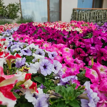 Diamond Sarafovo By Kp - Luxury Collection, 6 Appartement