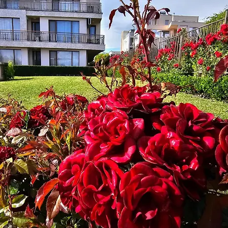 Diamond Sarafovo By Kp - Luxury Collection, 6 Apartament *