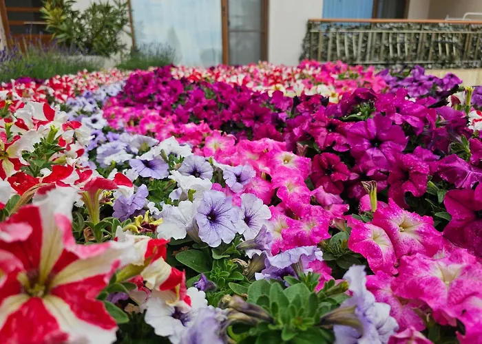 Diamond Sarafovo By Kp - Luxury Collection, 6 アパート